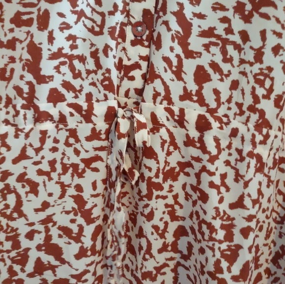 CAbi Sienna Leopard Print Dress - Picture 7 of 14